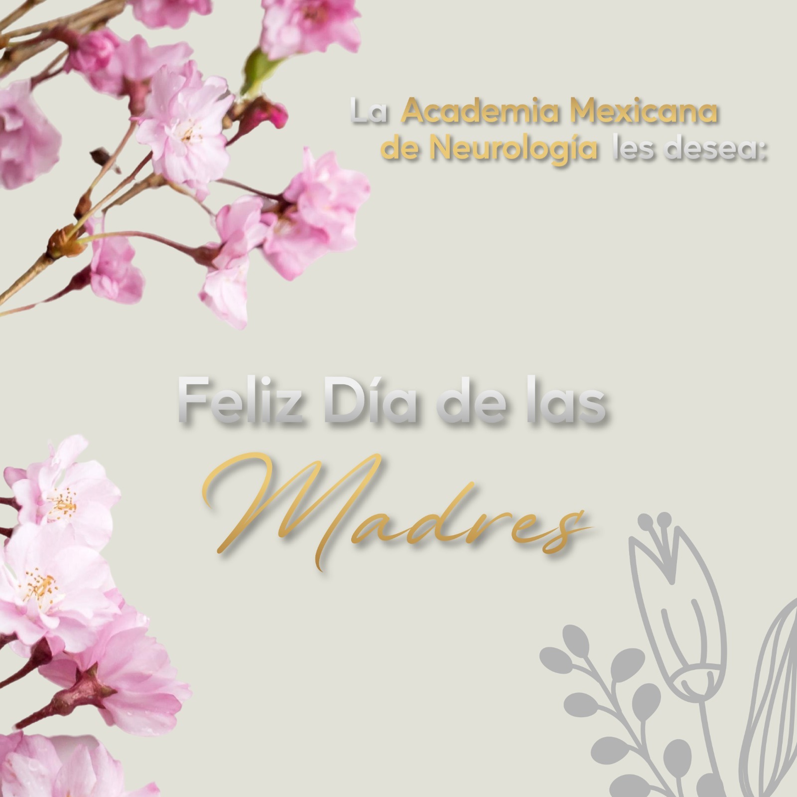 Postal 10MAYO2025