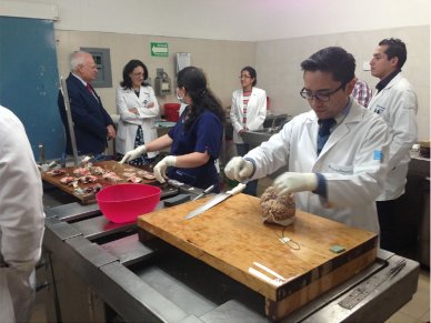 TrainingCentreMexicanAcademyofNeurology