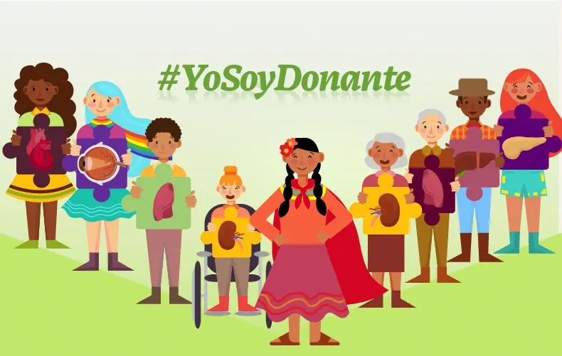 DonacionOrganos2018 2