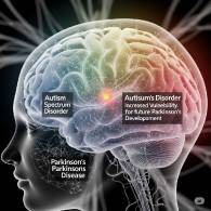Risk of Parkinson Disease in Individuals With Autism Spectrum Disorder
